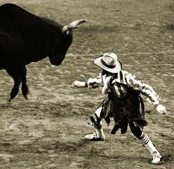 Clown goads bull